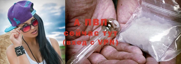 ПСИЛОЦИБИНОВЫЕ ГРИБЫ Аркадак