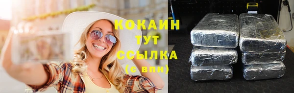 ПСИЛОЦИБИНОВЫЕ ГРИБЫ Аркадак