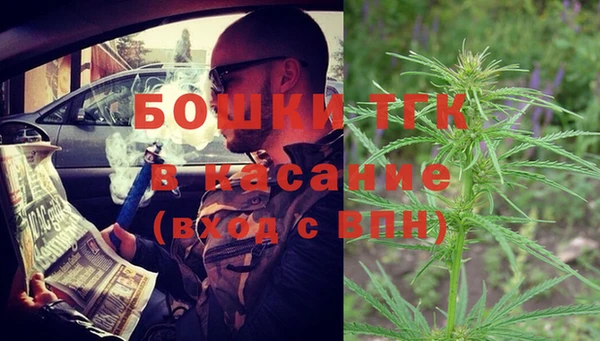 ПСИЛОЦИБИНОВЫЕ ГРИБЫ Аркадак