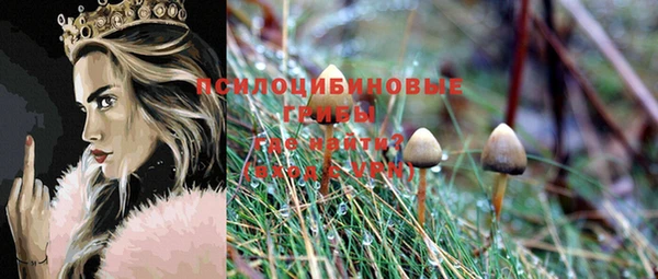 MESCALINE Переславль-Залесский