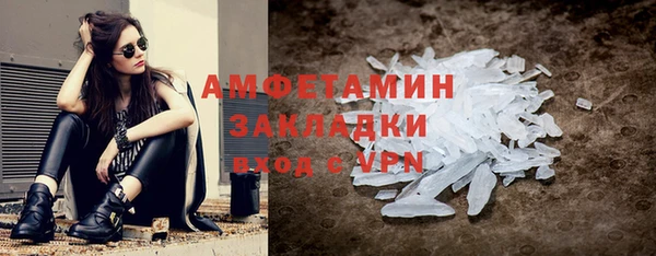 дживик Пересвет